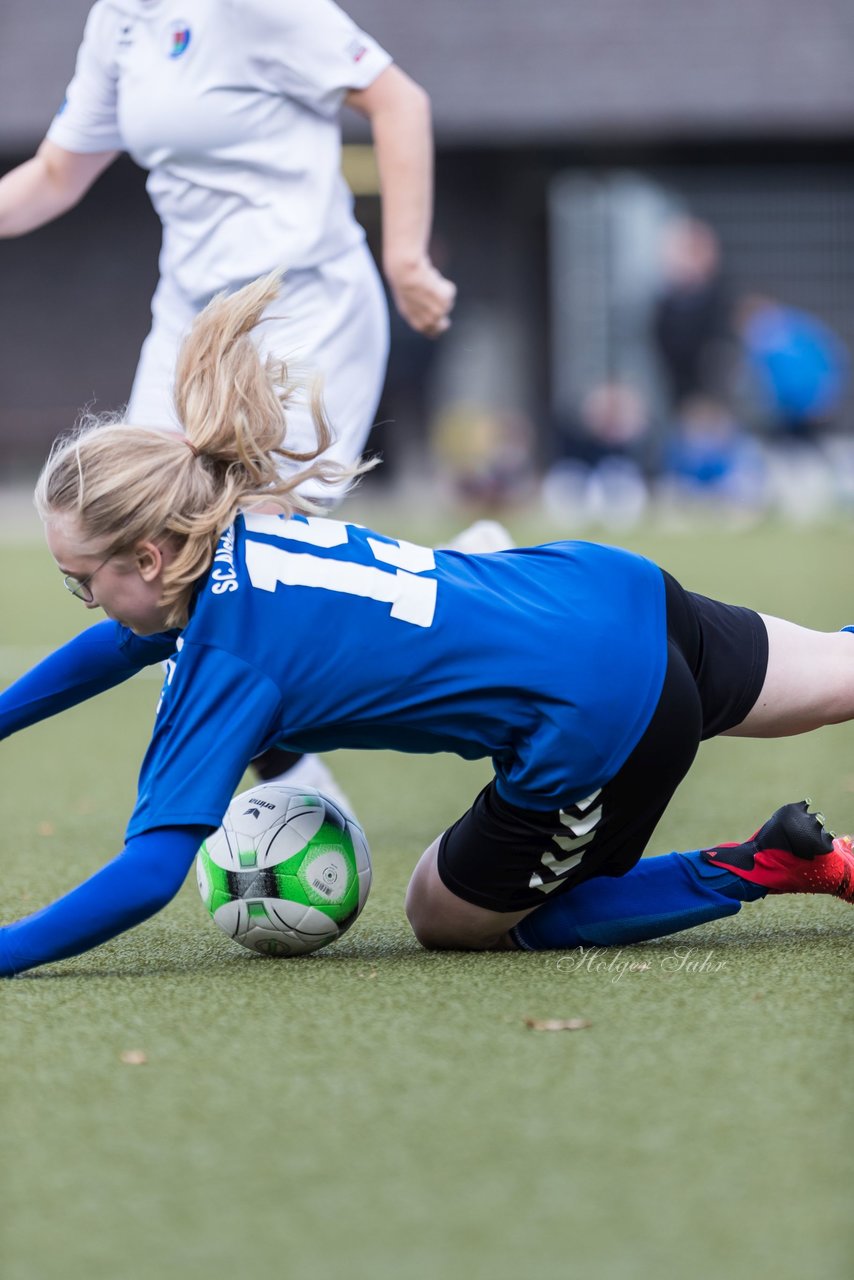 Bild 361 - wBJ Alstertal-Langenhorn - VfL Pinneberg : Ergebnis: 2:3